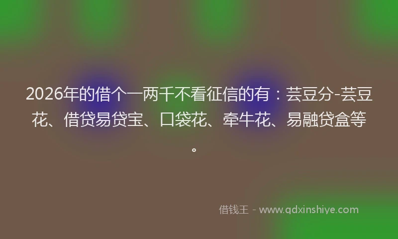 2026年的借个一两千不看征信的有：芸豆分-芸豆花、借贷易贷宝、口袋花、牵牛花、易融贷盒等。