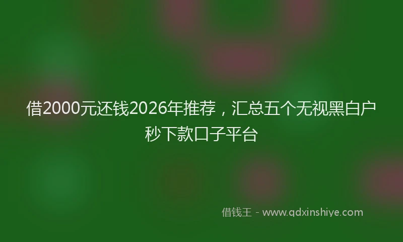 借2000元还钱2026年推荐,汇总五个无视黑白户秒下款口子平台