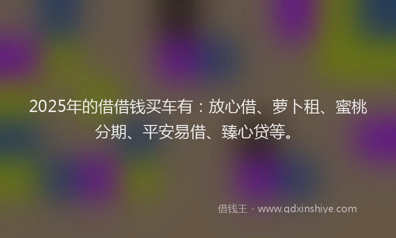 2025年的借借钱买车有：放心借、萝卜租、蜜桃分期、平安易借、臻心贷等。