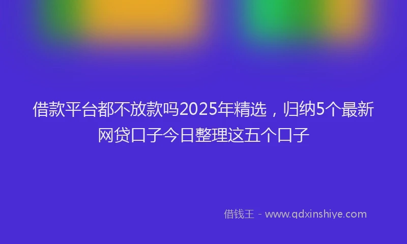 借款平台都不放款吗2025年精选，归纳5个最新网贷口子今日整理这五个口子