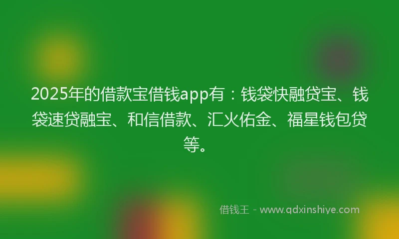 2025年的借款宝借钱app有：钱袋快融贷宝、钱袋速贷融宝、和信借款、汇火佑金、福星钱包贷等。