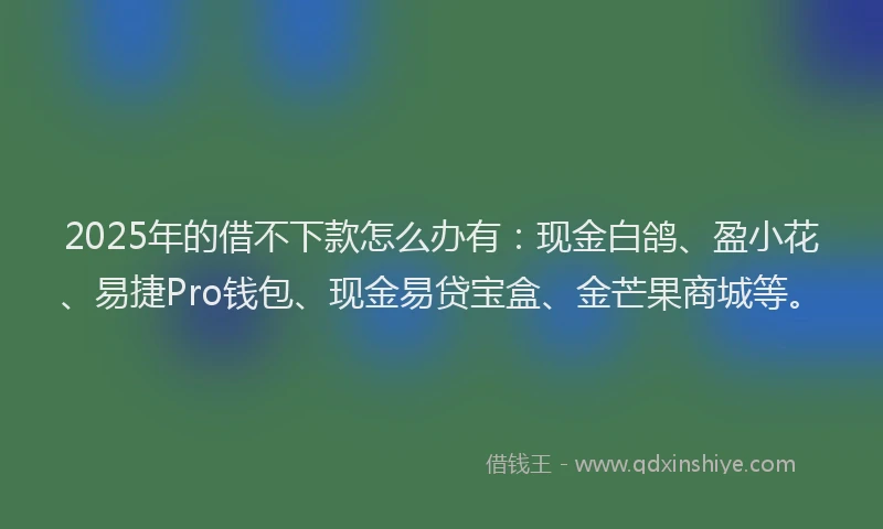 2025年的借不下款怎么办有：现金白鸽、盈小花、易捷Pro钱包、现金易贷宝盒、金芒果商城等。