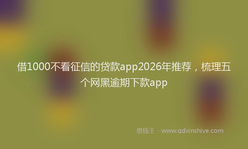 借1000不看征信的贷款app2026年推荐,梳理五个网黑逾期下款app