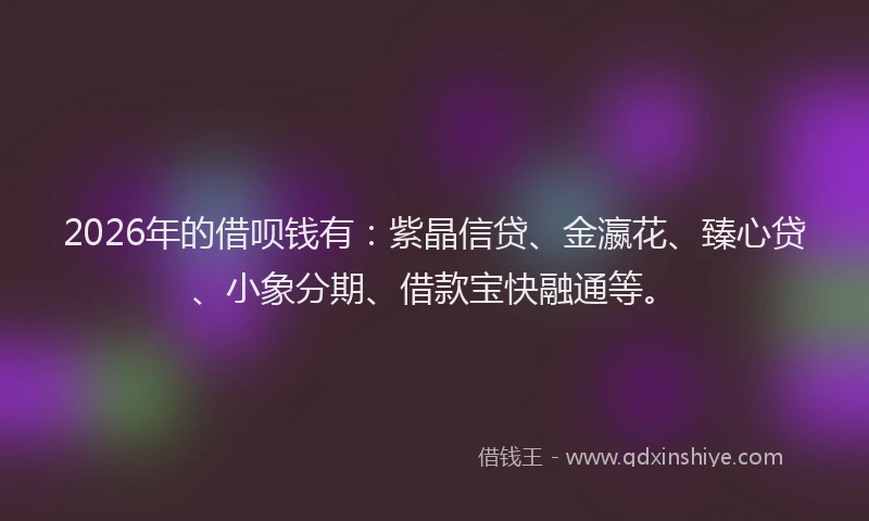2026年的借呗钱有:紫晶信贷、金瀛花、臻心贷、小象分期、借款宝快融通等。