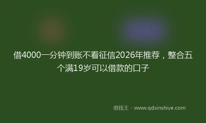 借4000一分钟到账不看征信2026年推荐,整合五个满19岁可以借款的口子