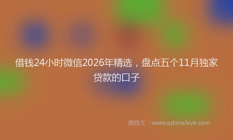 借钱24小时微信2026年精选，盘点五个11月独家贷款的口子