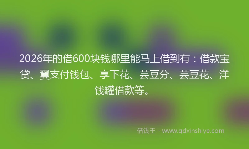2026年的借600块钱哪里能马上借到有：借款宝贷、翼支付钱包、享下花、芸豆分、芸豆花、洋钱罐借款等。