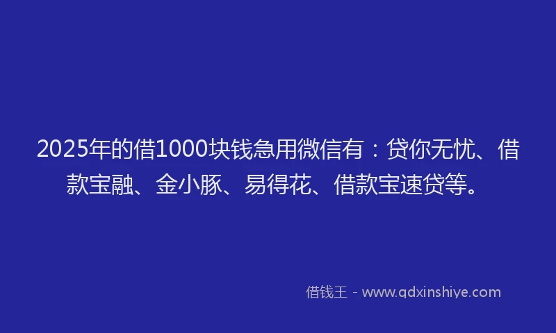 2025年的借1000块钱急用微信有:贷你无忧、借款宝融、金小豚、易得花、借款宝速贷等。