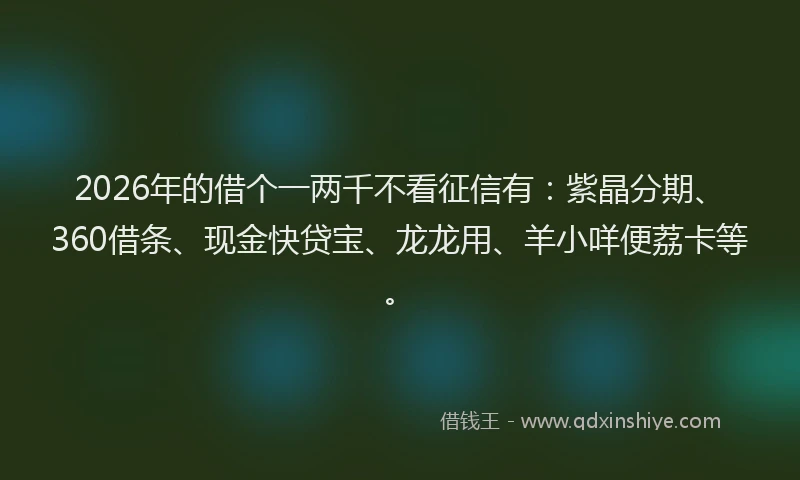 2026年的借个一两千不看征信有:紫晶分期、360借条、现金快贷宝、龙龙用、羊小咩便荔卡等。