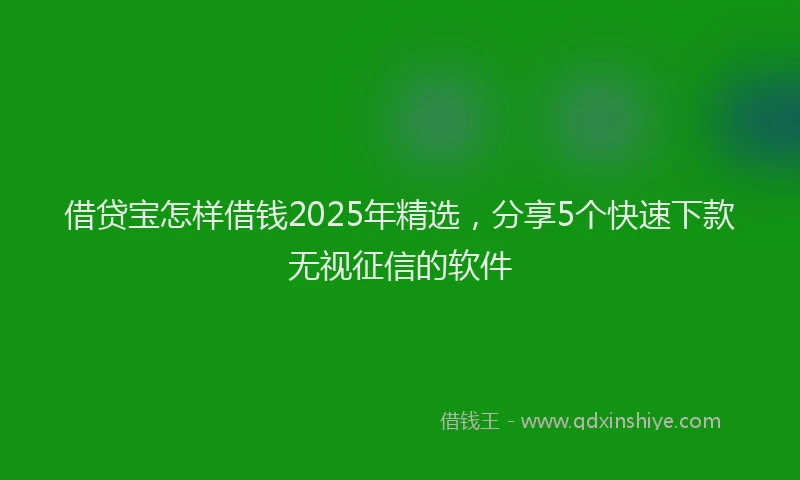 借贷宝怎样借钱2025年精选,分享5个快速下款无视征信的软件