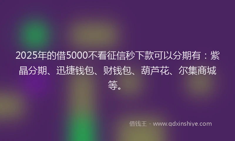 2025年的借5000不看征信秒下款可以分期有:紫晶分期、迅捷钱包、财钱包、葫芦花、尔集商城等。