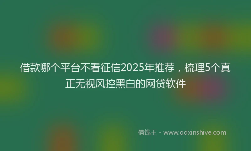 借款哪个平台不看征信2025年推荐，梳理5个真正无视风控黑白的网贷软件