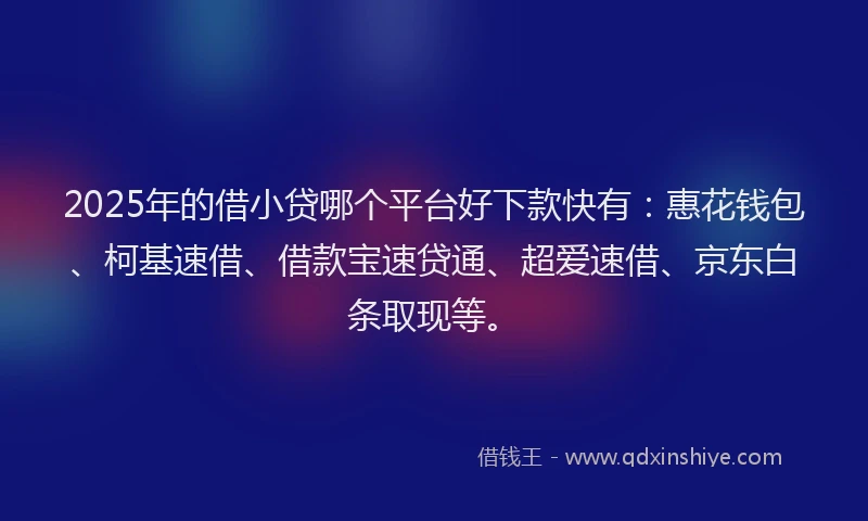 2025年的借小贷哪个平台好下款快有：惠花钱包、柯基速借、借款宝速贷通、超爱速借、京东白条取现等。