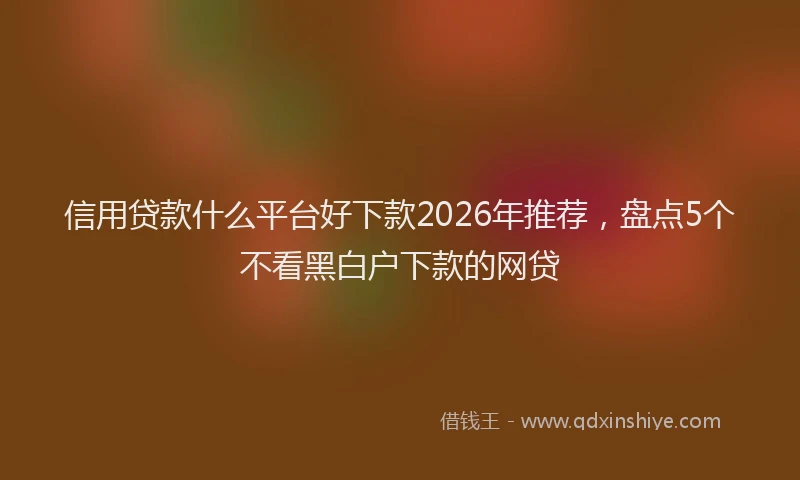 信用贷款什么平台好下款2026年推荐，盘点5个不看黑白户下款的网贷