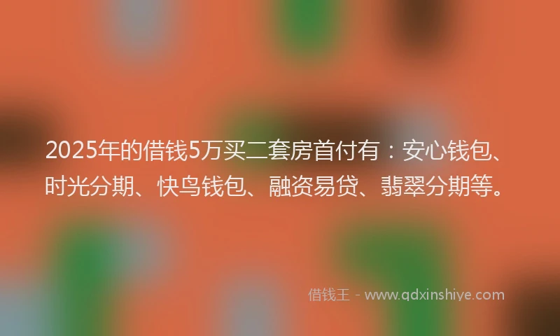 2025年的借钱5万买二套房首付有:安心钱包、时光分期、快鸟钱包、融资易贷、翡翠分期等。
