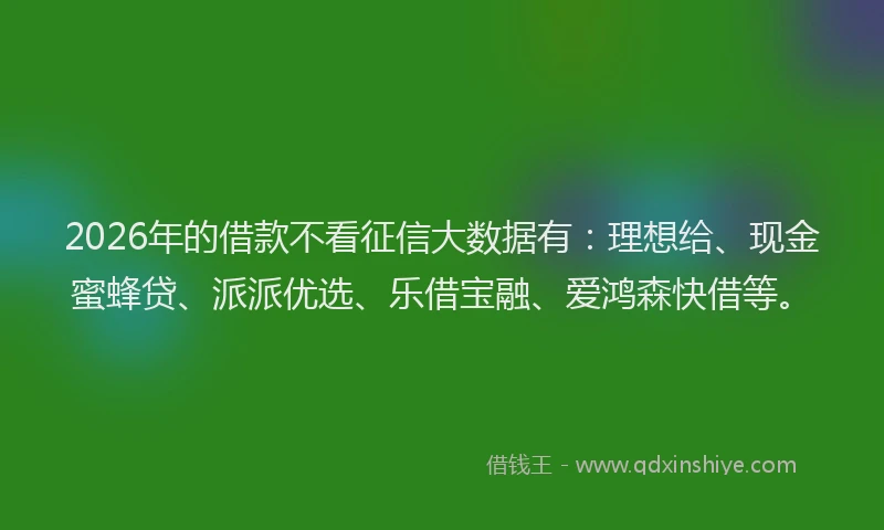 2026年的借款不看征信大数据有:理想给、现金蜜蜂贷、派派优选、乐借宝融、爱鸿森快借等。