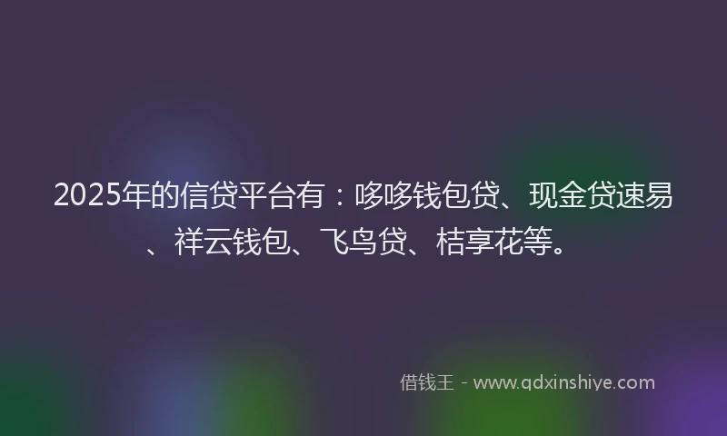 2025年的信贷平台有：哆哆钱包贷、现金贷速易、祥云钱包、飞鸟贷、桔享花等。