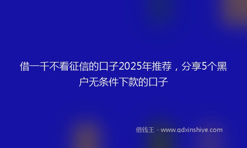 借一千不看征信的口子2025年推荐，分享5个黑户无条件下款的口子