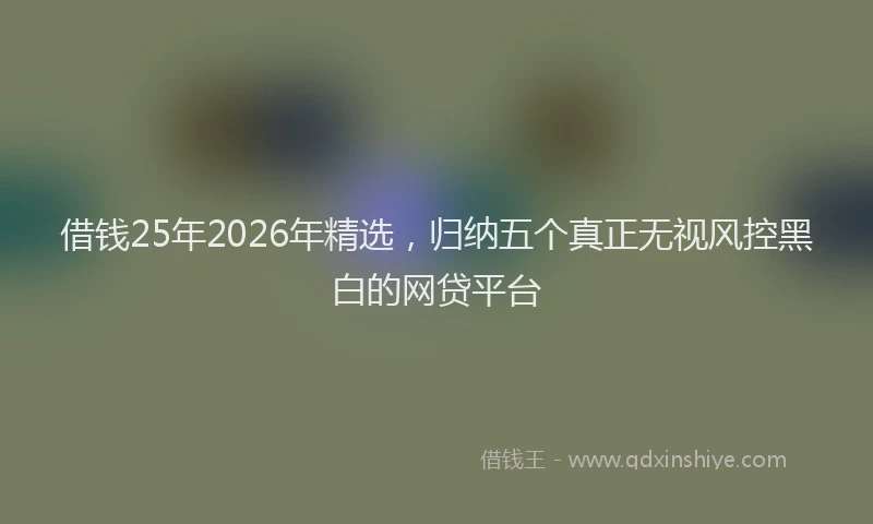 借钱25年2026年精选，归纳五个真正无视风控黑白的网贷平台