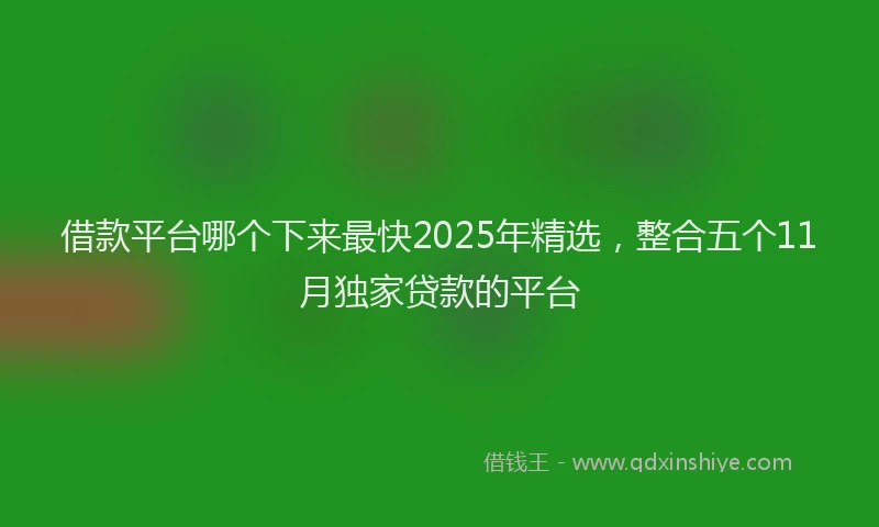 借款平台哪个下来最快2025年精选，整合五个11月独家贷款的平台