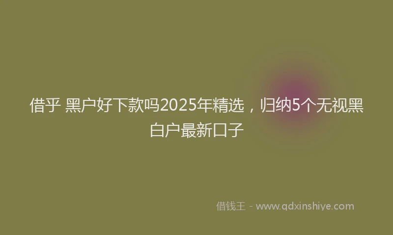 借乎 黑户好下款吗2025年精选,归纳5个无视黑白户最新口子