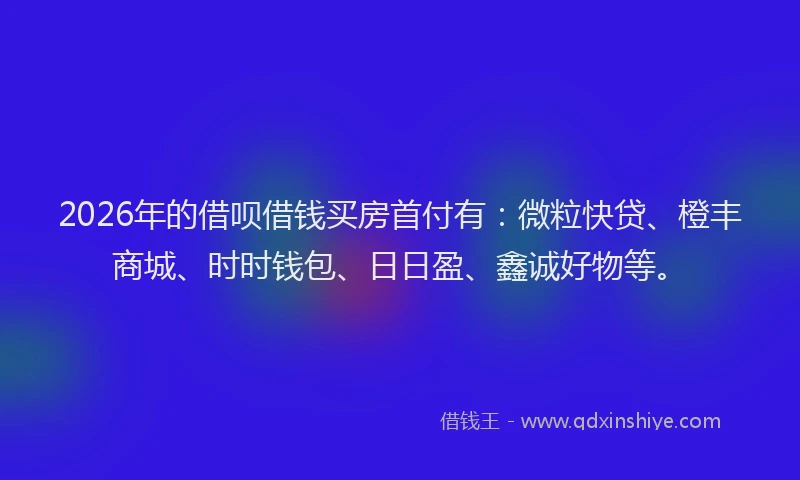 2026年的借呗借钱买房首付有:微粒快贷、橙丰商城、时时钱包、日日盈、鑫诚好物等。