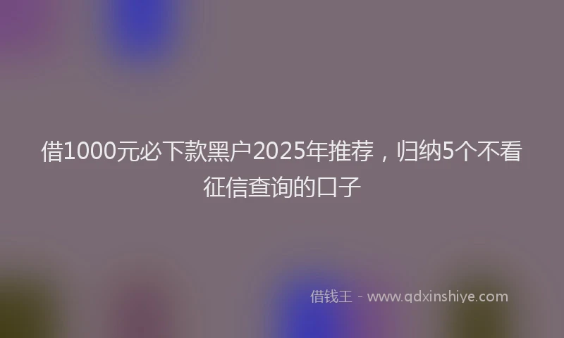 借1000元必下款黑户2025年推荐，归纳5个不看征信查询的口子