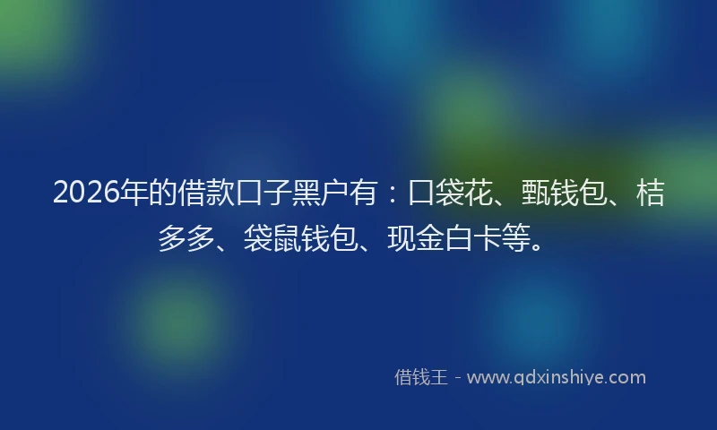 2026年的借款口子黑户有：口袋花、甄钱包、桔多多、袋鼠钱包、现金白卡等。