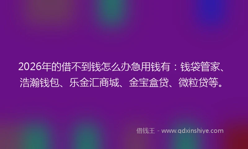 2026年的借不到钱怎么办急用钱有：钱袋管家、浩瀚钱包、乐金汇商城、金宝盒贷、微粒贷等。