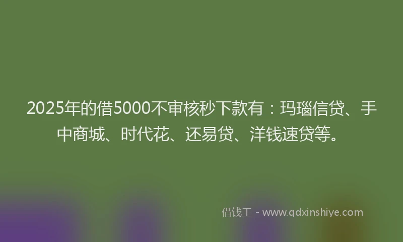 2025年的借5000不审核秒下款有：玛瑙信贷、手中商城、时代花、还易贷、洋钱速贷等。