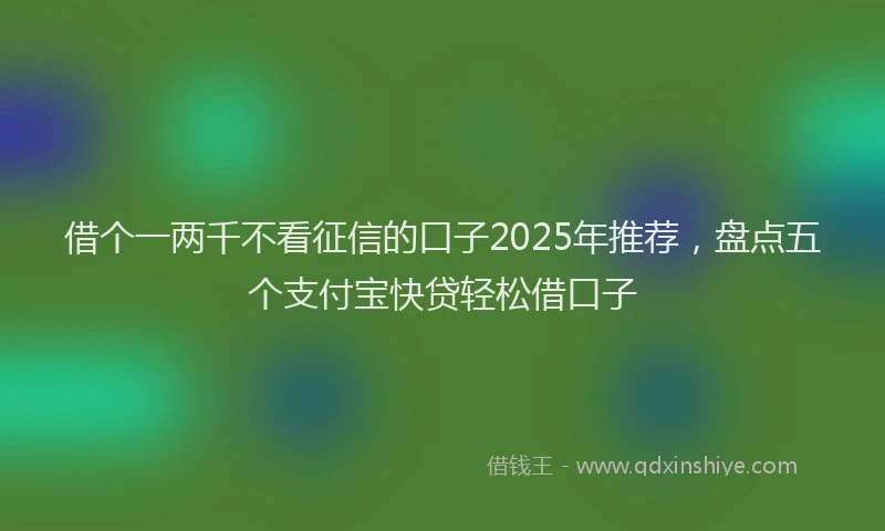 借个一两千不看征信的口子2025年推荐，盘点五个支付宝快贷轻松借口子