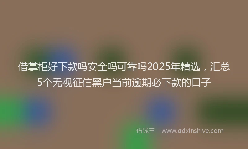借掌柜好下款吗安全吗可靠吗2025年精选，汇总5个无视征信黑户当前逾期必下款的口子