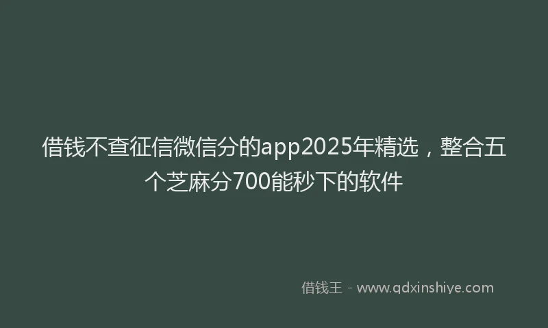 借钱不查征信微信分的app2025年精选，整合五个芝麻分700能秒下的软件