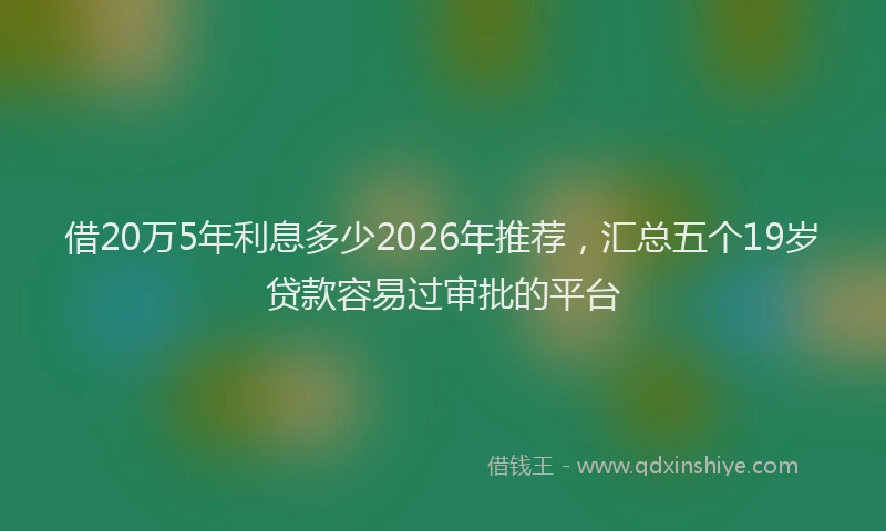 借20万5年利息多少2026年推荐，汇总五个19岁贷款容易过审批的平台