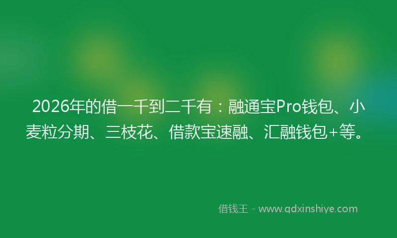 2026年的借一千到二千有：融通宝Pro钱包、小麦粒分期、三枝花、借款宝速融、汇融钱包+等。