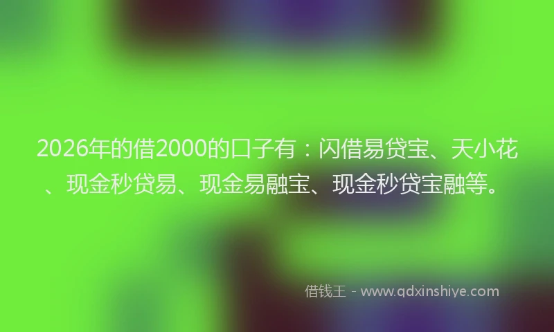 2026年的借2000的口子有：闪借易贷宝、天小花、现金秒贷易、现金易融宝、现金秒贷宝融等。