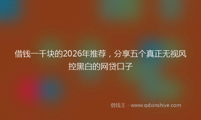 借钱一千块的2026年推荐,分享五个真正无视风控黑白的网贷口子