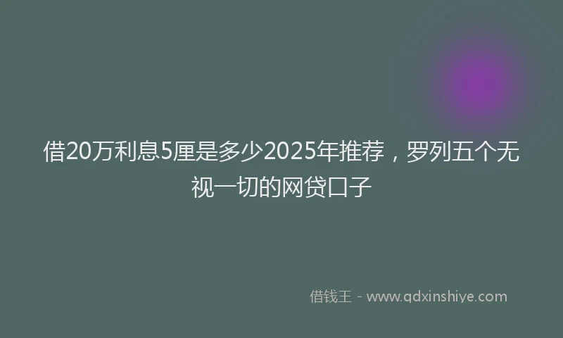 借20万利息5厘是多少2025年推荐,罗列五个无视一切的网贷口子
