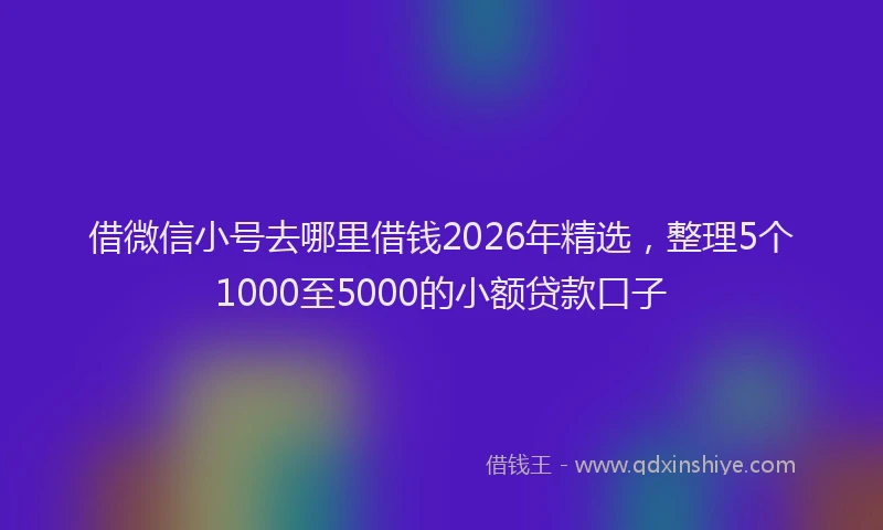借微信小号去哪里借钱2026年精选，整理5个1000至5000的小额贷款口子