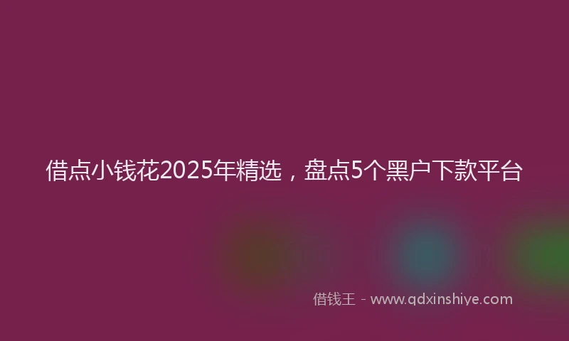借点小钱花2025年精选,盘点5个黑户下款平台