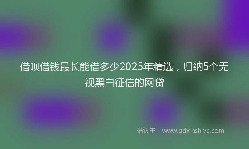 借呗借钱最长能借多少2025年精选，归纳5个无视黑白征信的网贷