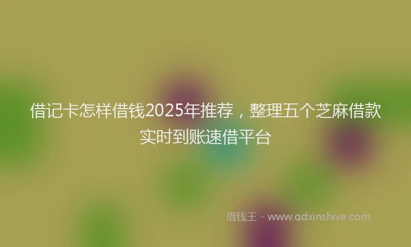 借记卡怎样借钱2025年推荐，整理五个芝麻借款实时到账速借平台