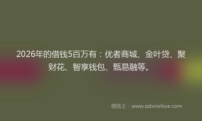 2026年的借钱5百万有：优者商城、金叶贷、聚财花、智享钱包、甄易融等。