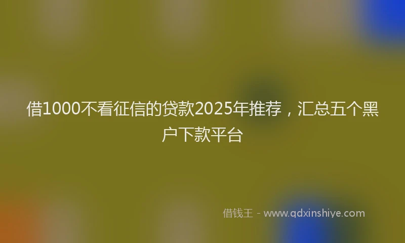借1000不看征信的贷款2025年推荐，汇总五个黑户下款平台