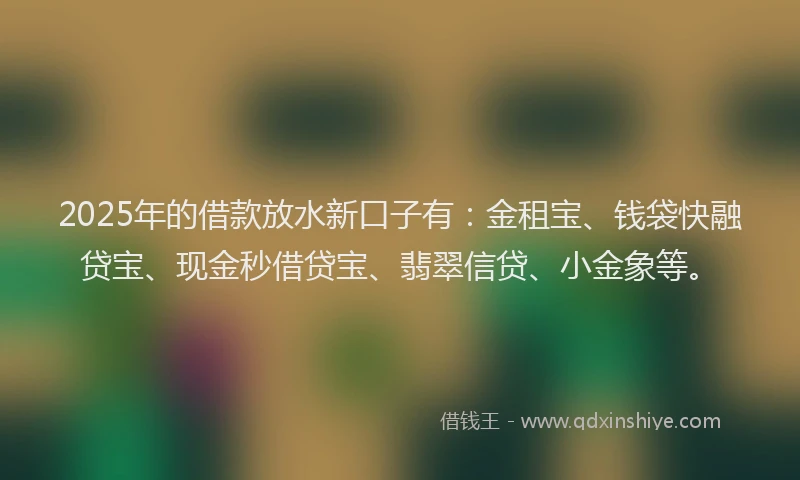 2025年的借款放水新口子有:金租宝、钱袋快融贷宝、现金秒借贷宝、翡翠信贷、小金象等。