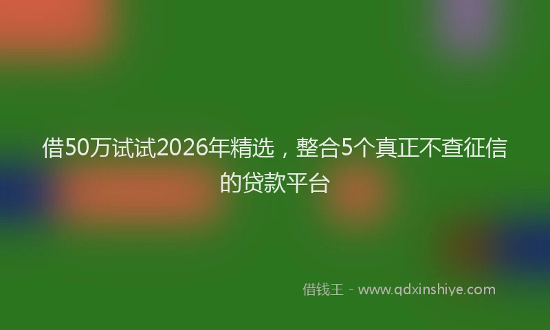 借50万试试2026年精选，整合5个真正不查征信的贷款平台