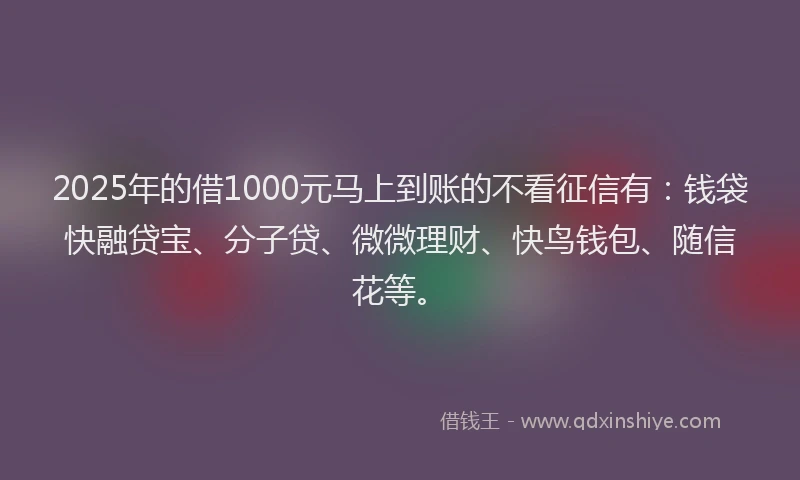 2025年的借1000元马上到账的不看征信有：钱袋快融贷宝、分子贷、微微理财、快鸟钱包、随信花等。