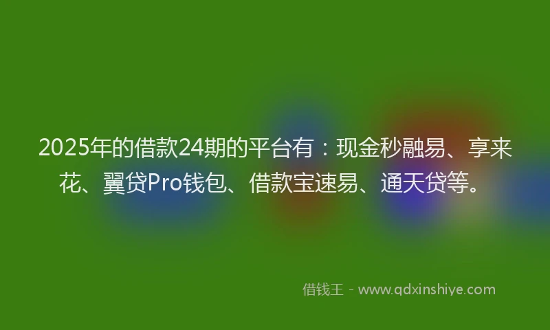 2025年的借款24期的平台有：现金秒融易、享来花、翼贷Pro钱包、借款宝速易、通天贷等。
