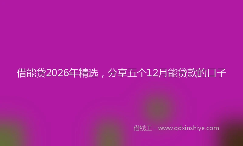 借能贷2026年精选，分享五个12月能贷款的口子
