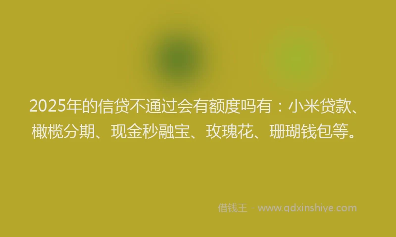2025年的信贷不通过会有额度吗有:小米贷款、橄榄分期、现金秒融宝、玫瑰花、珊瑚钱包等。